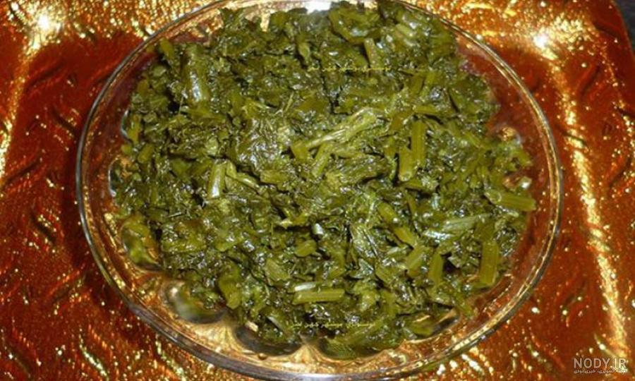 عکس غذای توله عکس غذای توله