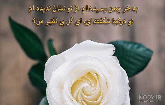 عکس نوشته تو بهترین هدیه خدایی