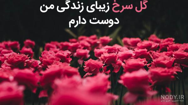 عکس هدیه دادن