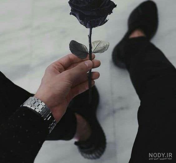 عکس گل رز قرمز در دست دختر