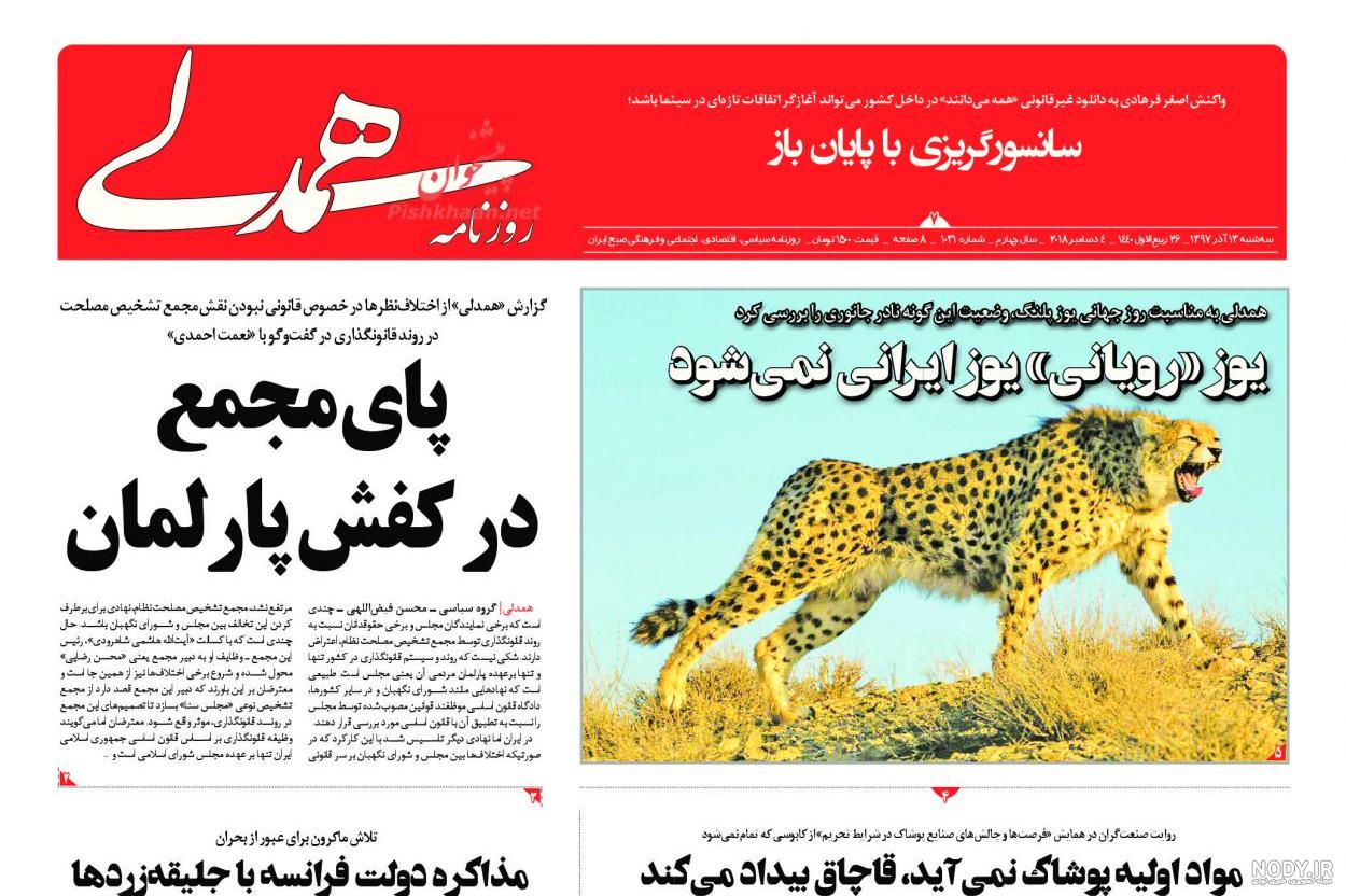 عکس یوز پلنگ سیاه
