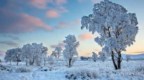 عکسهای زیبا از طبیعت زمستانی