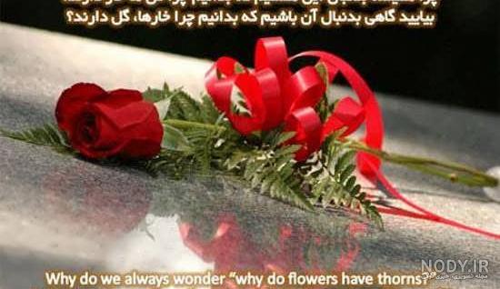 متن تشکر از عشقم