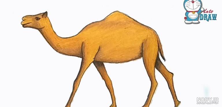 نقاشی شترمرغ نقاشی شترمرغ