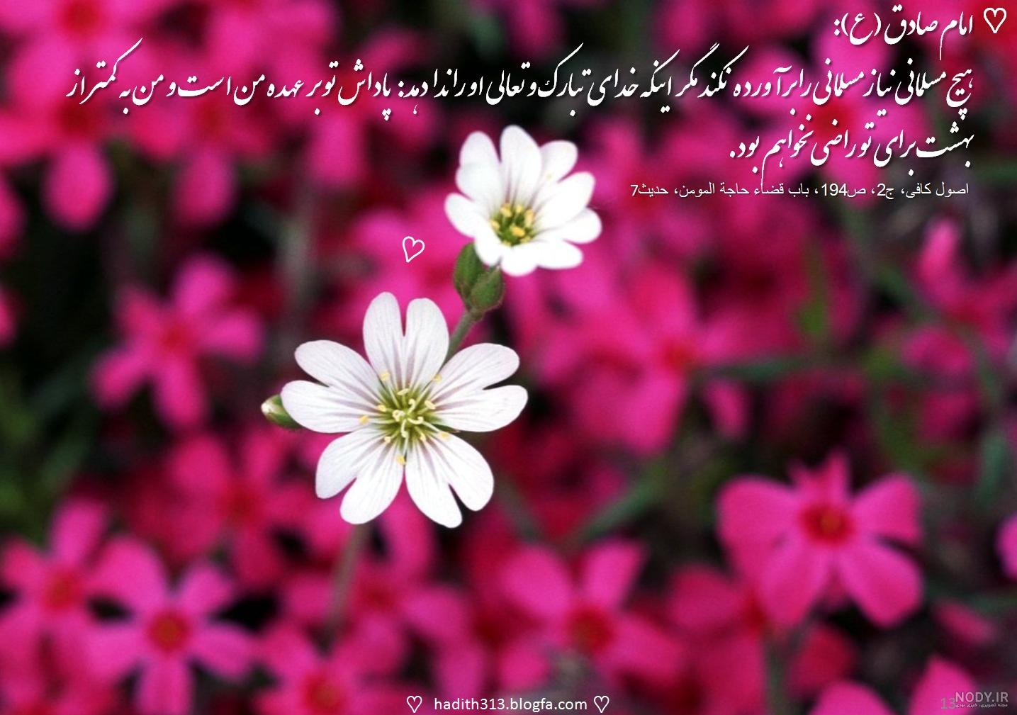 پروفایل امام زمان و عید