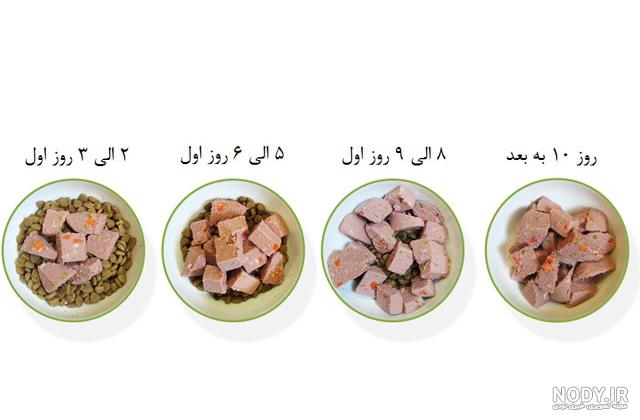 پلو توله شوشتری پلو توله شوشتری