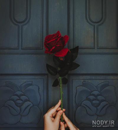گل پژمرده غمگین گل پژمرده غمگین