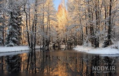 یک عکس زیبا از طبیعت زمستان