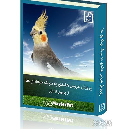 اسم عروس هلندی تیتو اسم عروس هلندی تیتو