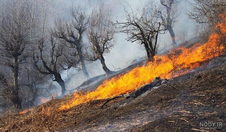 آخرین آتش سوزی در جنگل های ایران در چه سالی بود آخرین آتش سوزی در جنگل های ایران در چه سالی بود