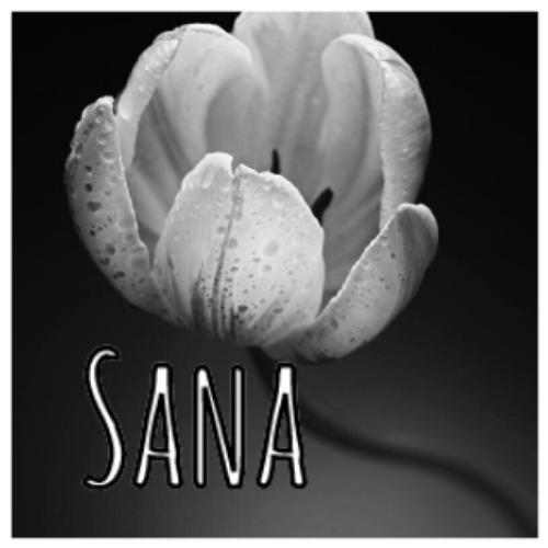 استیکر اسم ثنا استیکر اسم ثنا