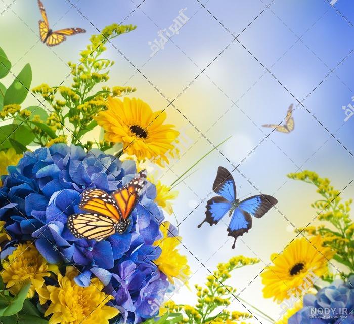 تصاویر منظره و گل زیبا
