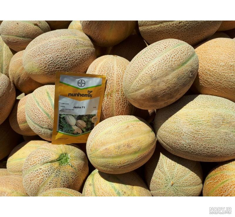 خواص خربزه جانان خواص خربزه جانان