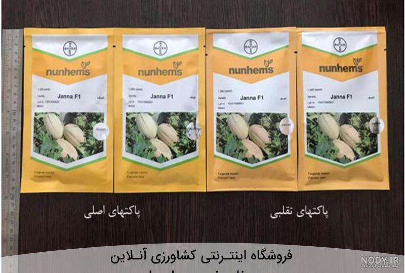زمان کاشت خربزه ملون زمان کاشت خربزه ملون