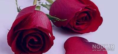 زیباترین دسته گل مریم زیباترین دسته گل مریم