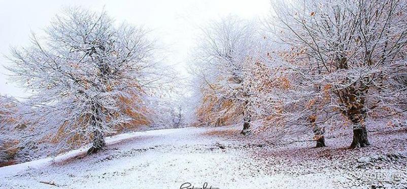 عکس از طبیعت زیبای زمستانی