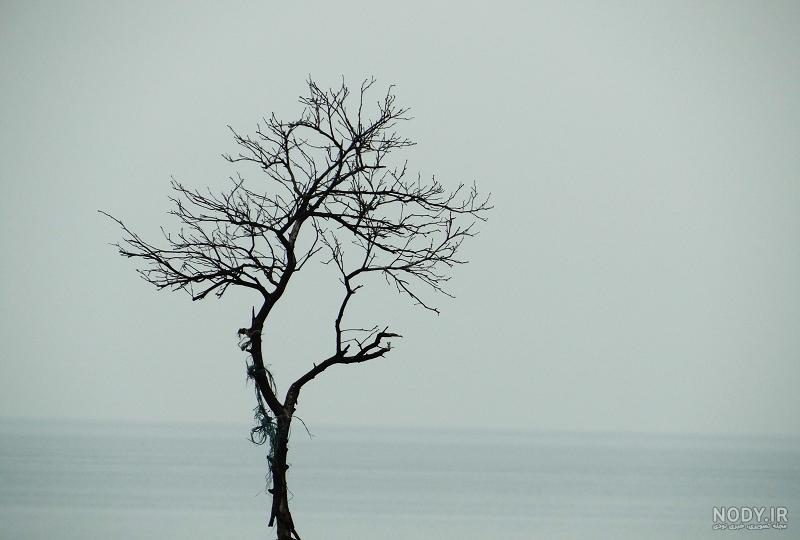 عکس تنهایی گرافیکی