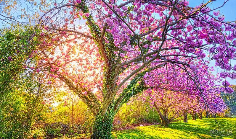 عکس سه بعدی برای تصویر زمینه گوشی