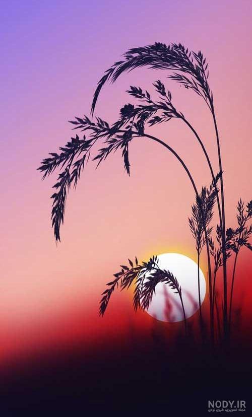 عکس غروب تنهایی