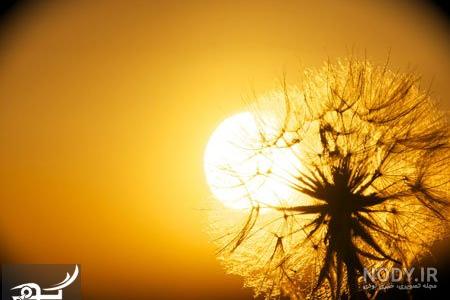 عکس نوشته غروب غمگین
