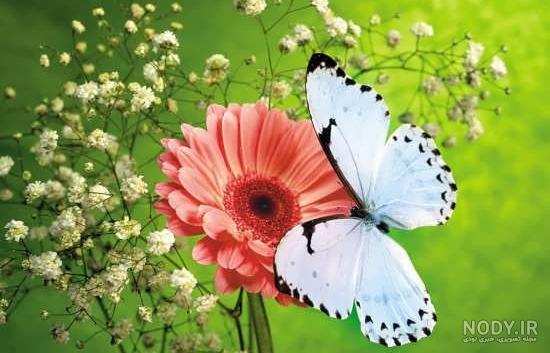 عکس گل نوشته دار مادر