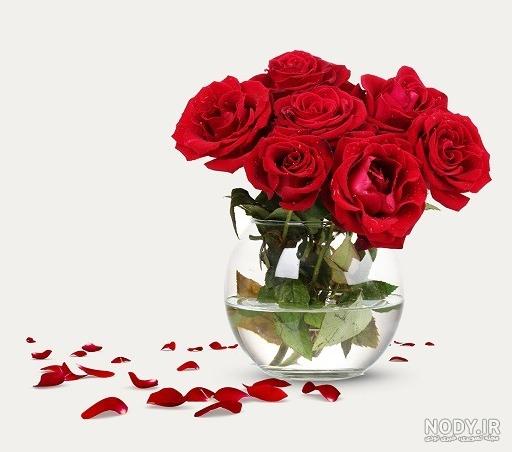 عکس گل نوشته دار پدر