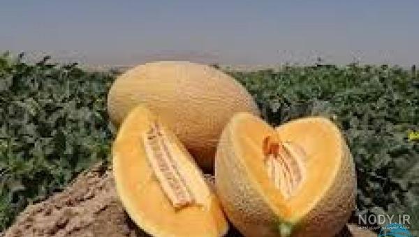 قیمت میوه جانا قیمت میوه جانا