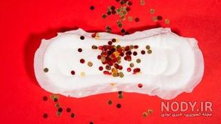 نظرات در مورد دکتر صغری ربیعی