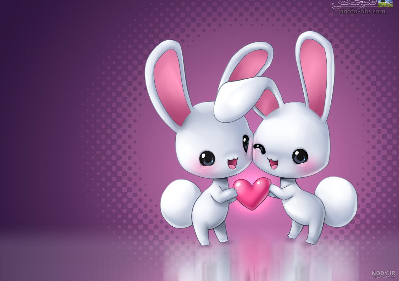 عکس خرگوش عاشق عکس خرگوش عاشق