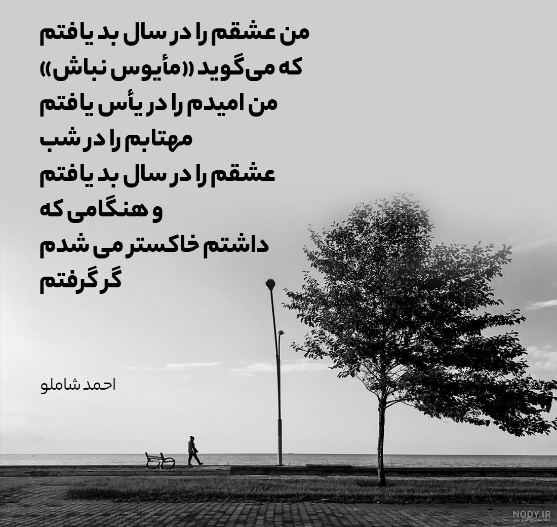مجموعه اشعار شاملو