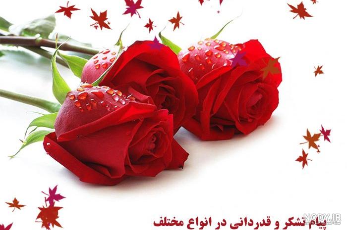 استیکر جواب تشکر