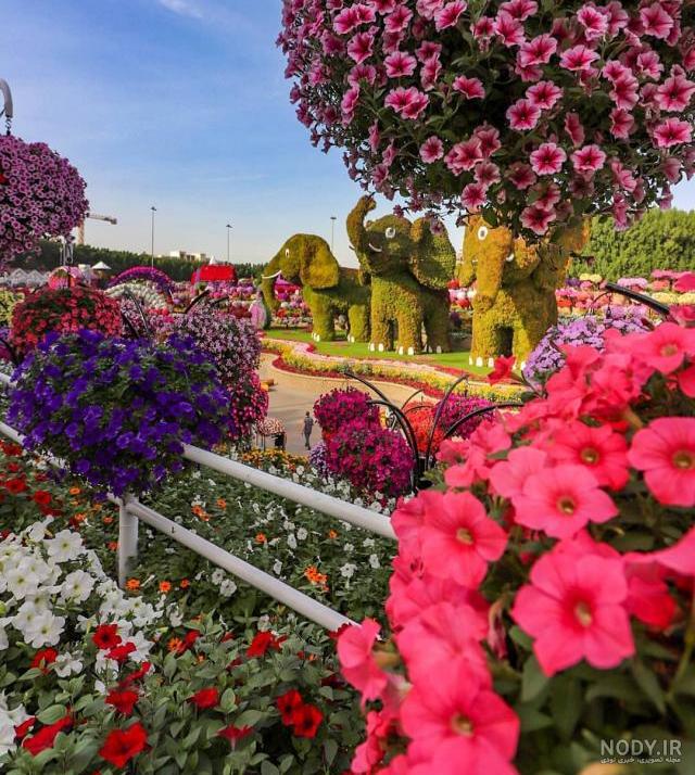 عکس دسته گلهای بسیار زیبا