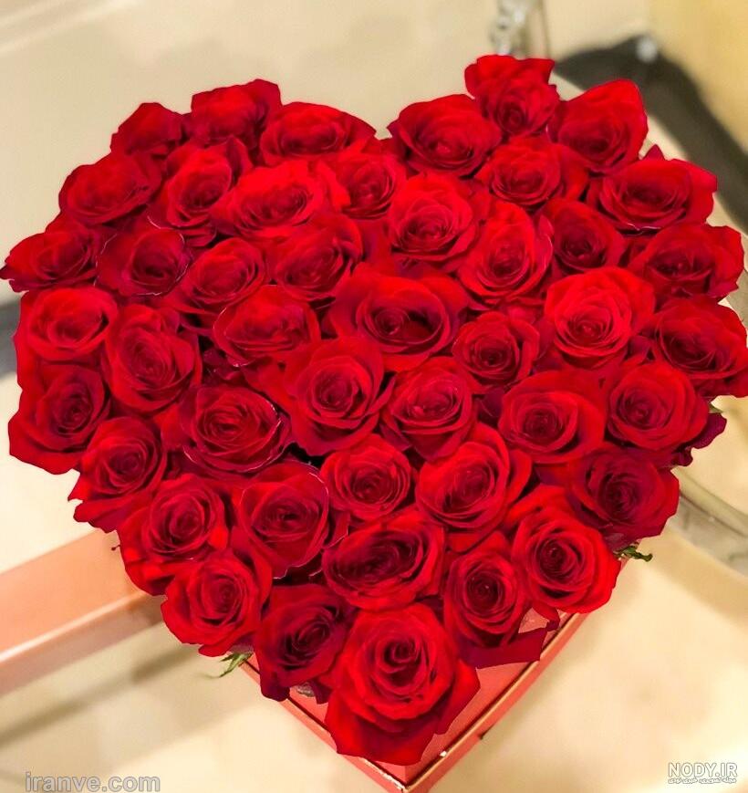 عکس زیبا از گل و طبیعت