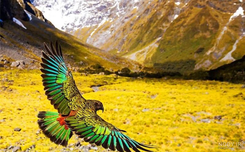 عکس طبیعت فوق العاده زیبا