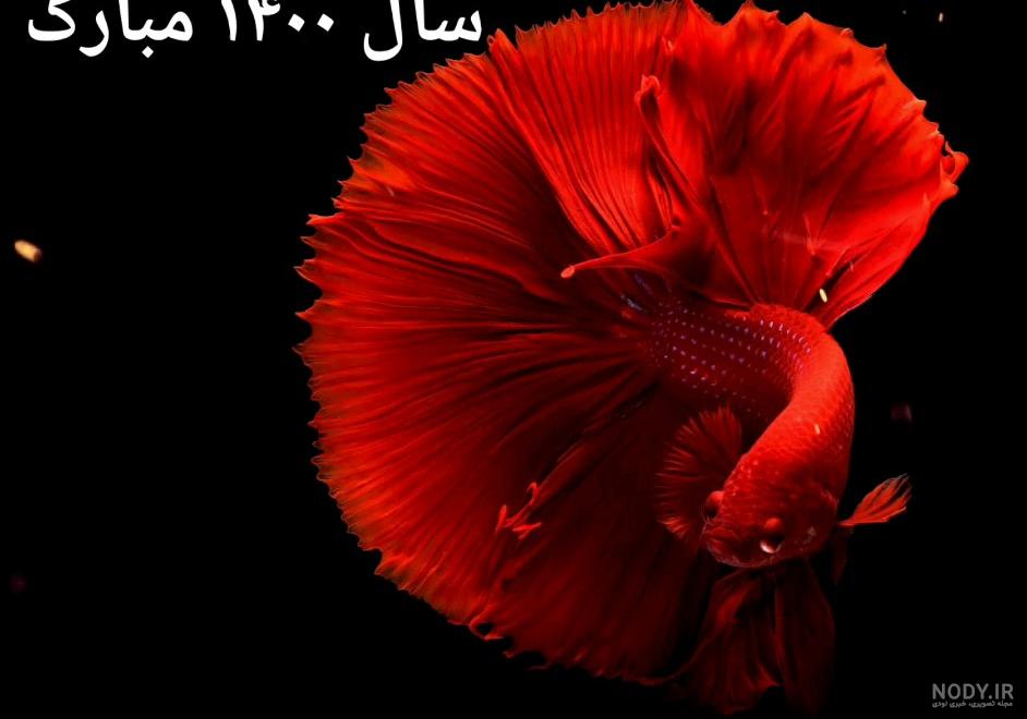 عکس عیدتون مبارک