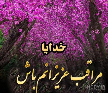 عکس نوشته خدایا حافظ عزیزانم باش