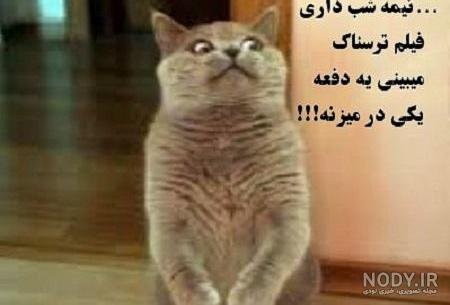 عکس های خنده دار طنز