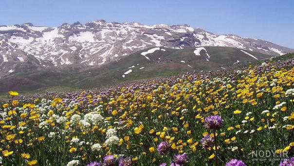 عکس هایی زیبا از طبیعت کردستان