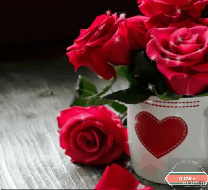 عکس گل رز متحرک
