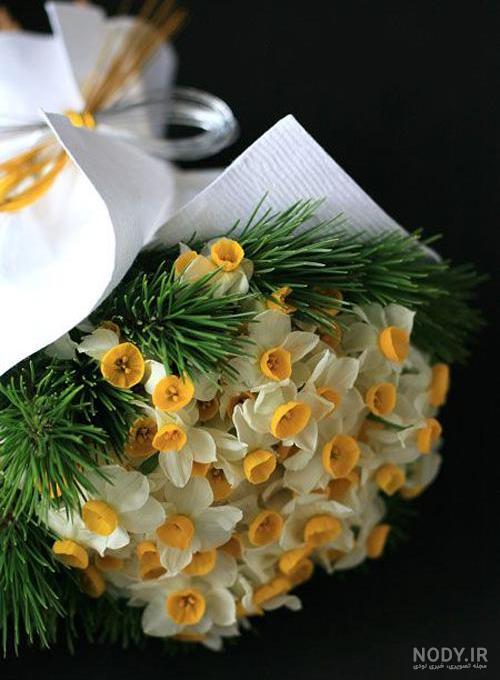 عکس گل نرگس و رز عکس گل نرگس و رز