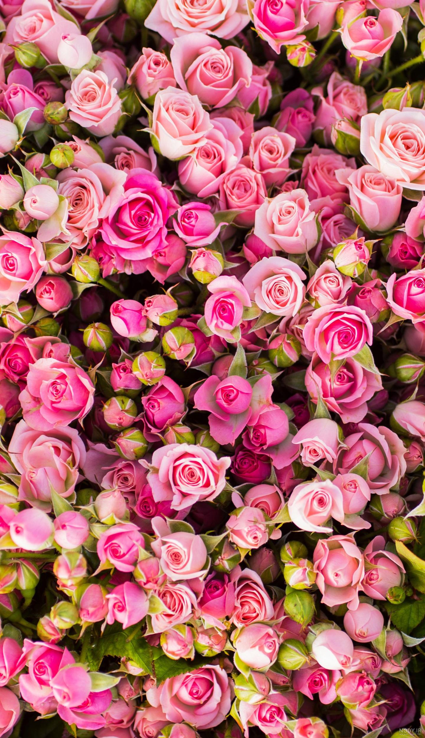 عکس گل نوشته دار