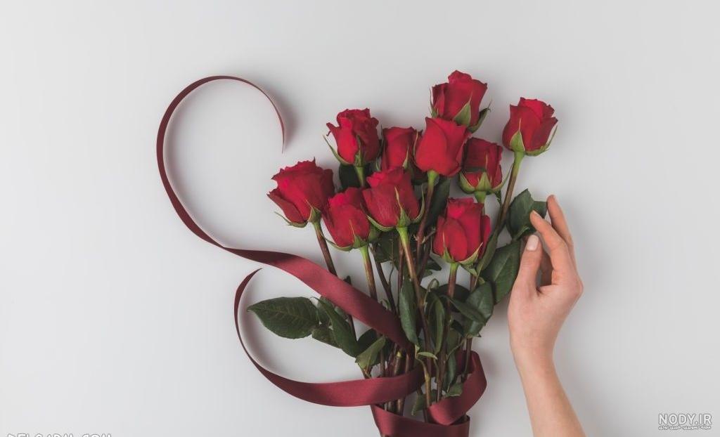 عکس گل های زیبای جهان