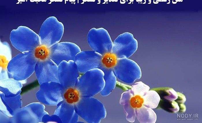 متن تشکر از دوست صمیمی