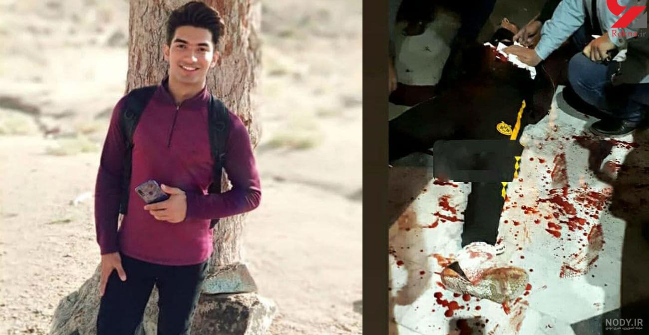 مهندسی پزشکی دانشگاه آزاد تهران