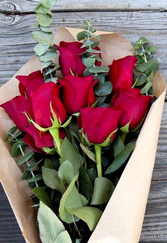 گل های زیبا