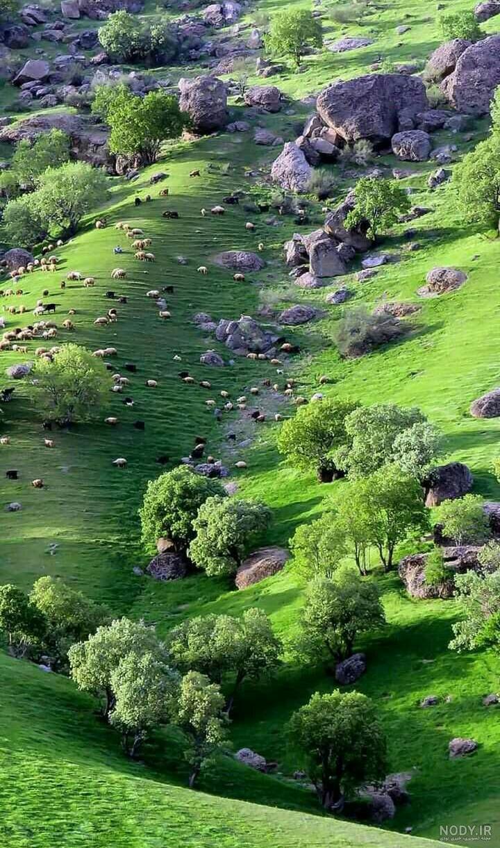 عکس منظره زیبا در ایران - عکس نودی