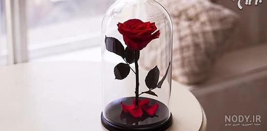 ایده برای تولد دوست صمیمی