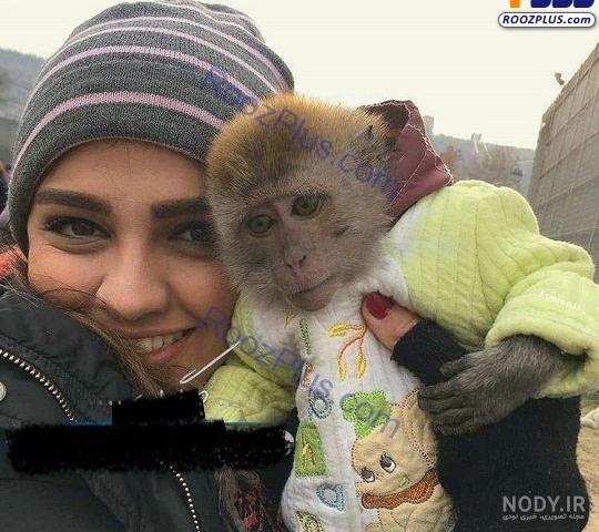 بچه میمون خانگی فروشی