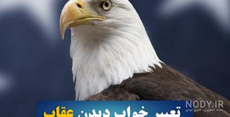 بیماری پرنده شاهین بیماری پرنده شاهین