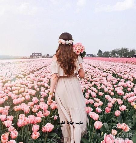 تصویر زمینه بهاری موبایل تصویر زمینه بهاری موبایل